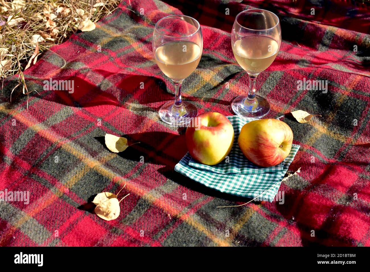Saisonal warmer Herbstnachmittag für ein herrliches Park-Picknick Der Herbst geht mit Gourmet-Essen und Getränken Stockfoto