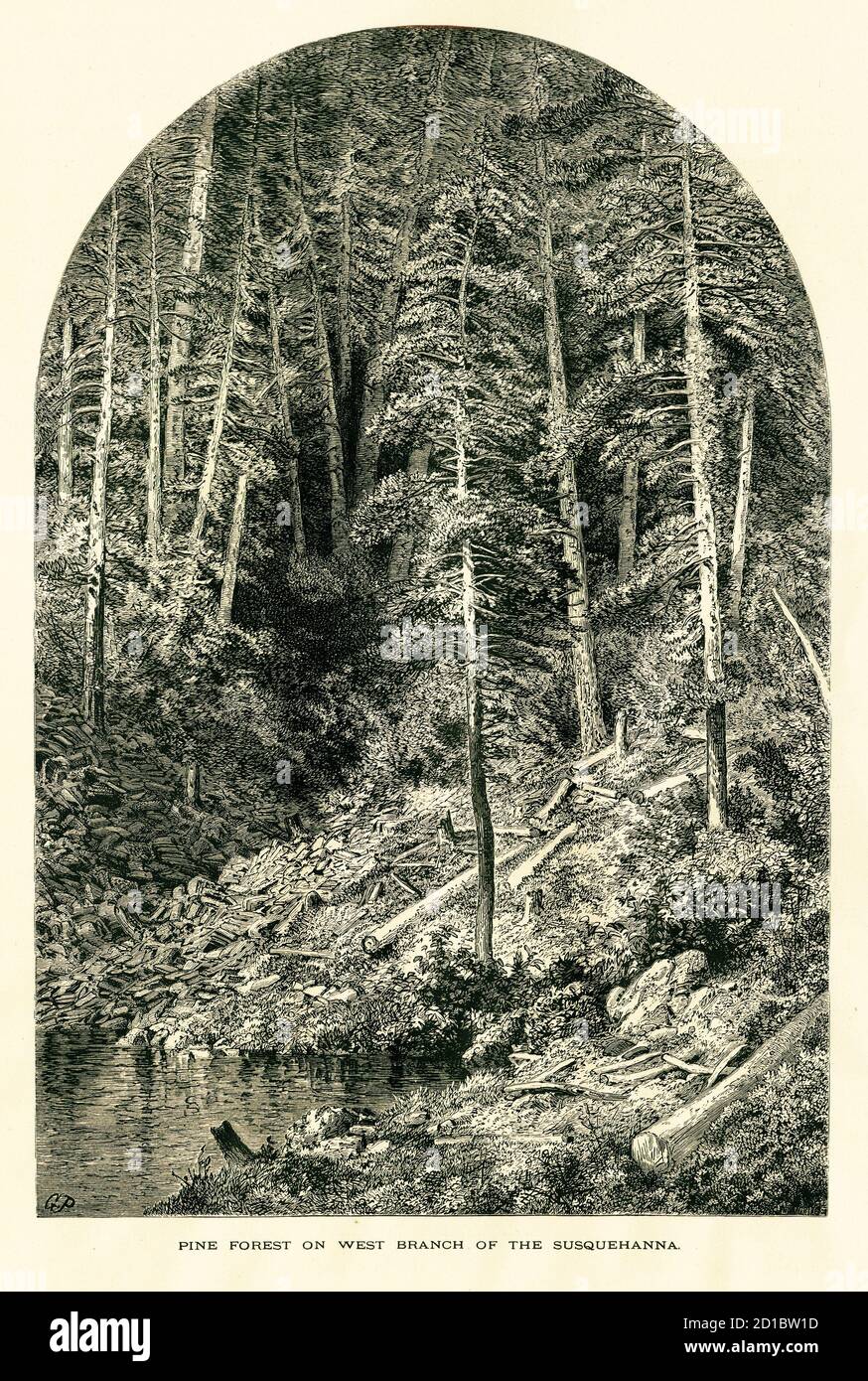 Antike Gravur eines Pinienwaldes am Westarm des Susquehanna River, der vollständig im Bundesstaat Pennsylvania, USA, fließt. Illustrati Stockfoto