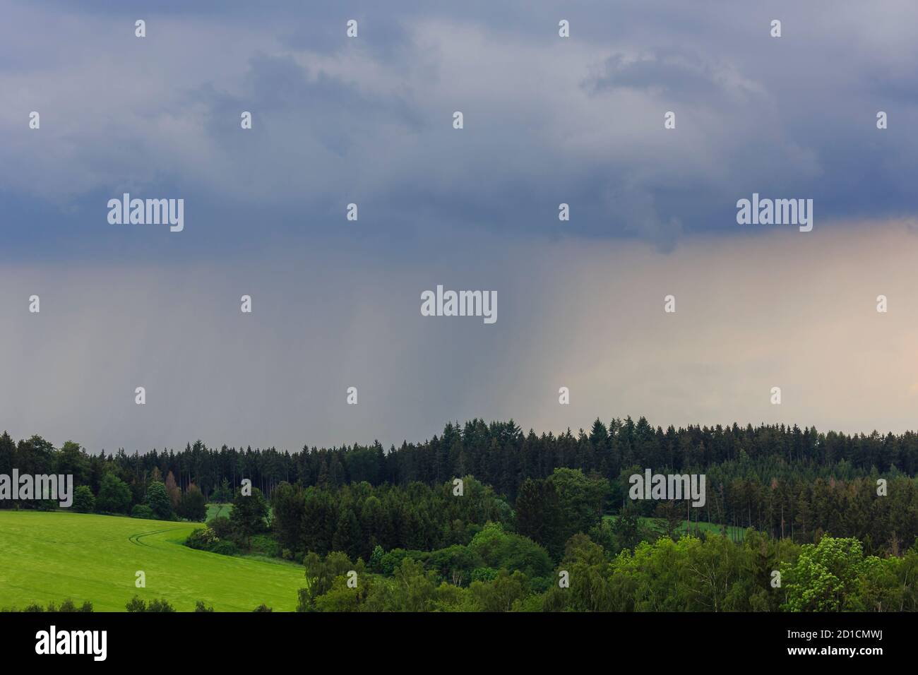 Die Ernte ist nahe, ein Sturm mit heftigem Regen kommt auf, Thüringen, Germay Stockfoto