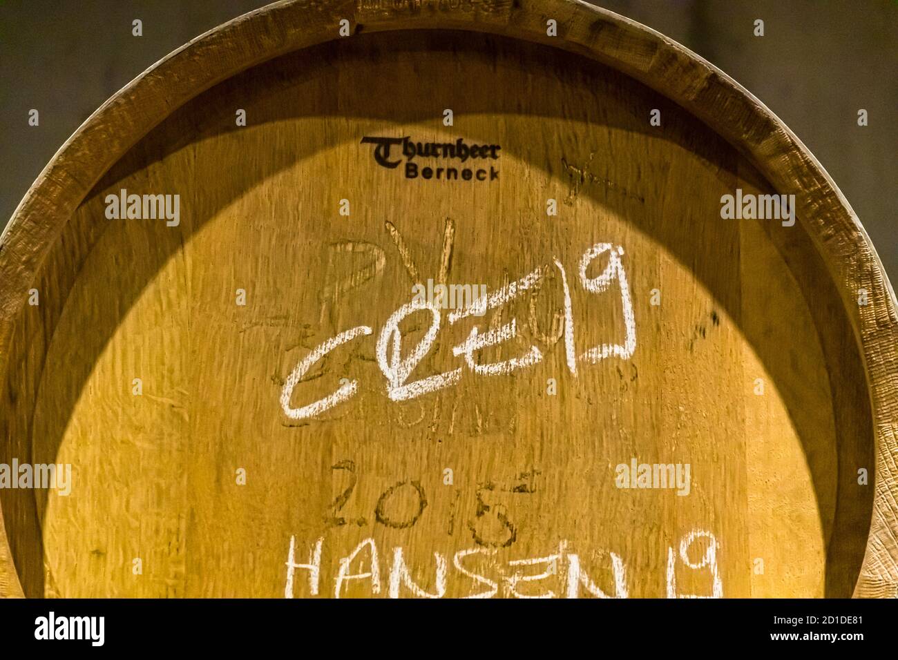 Die Tenuta San Giogio arbeitet bevorzugt mit französischer Eiche, Circolo d'Agno, Schweiz Stockfoto Die Tenuta San Giogio arbeitet bevorzugt mit französischer Eiche, Circolo d'Agno, Schweiz Stockfoto