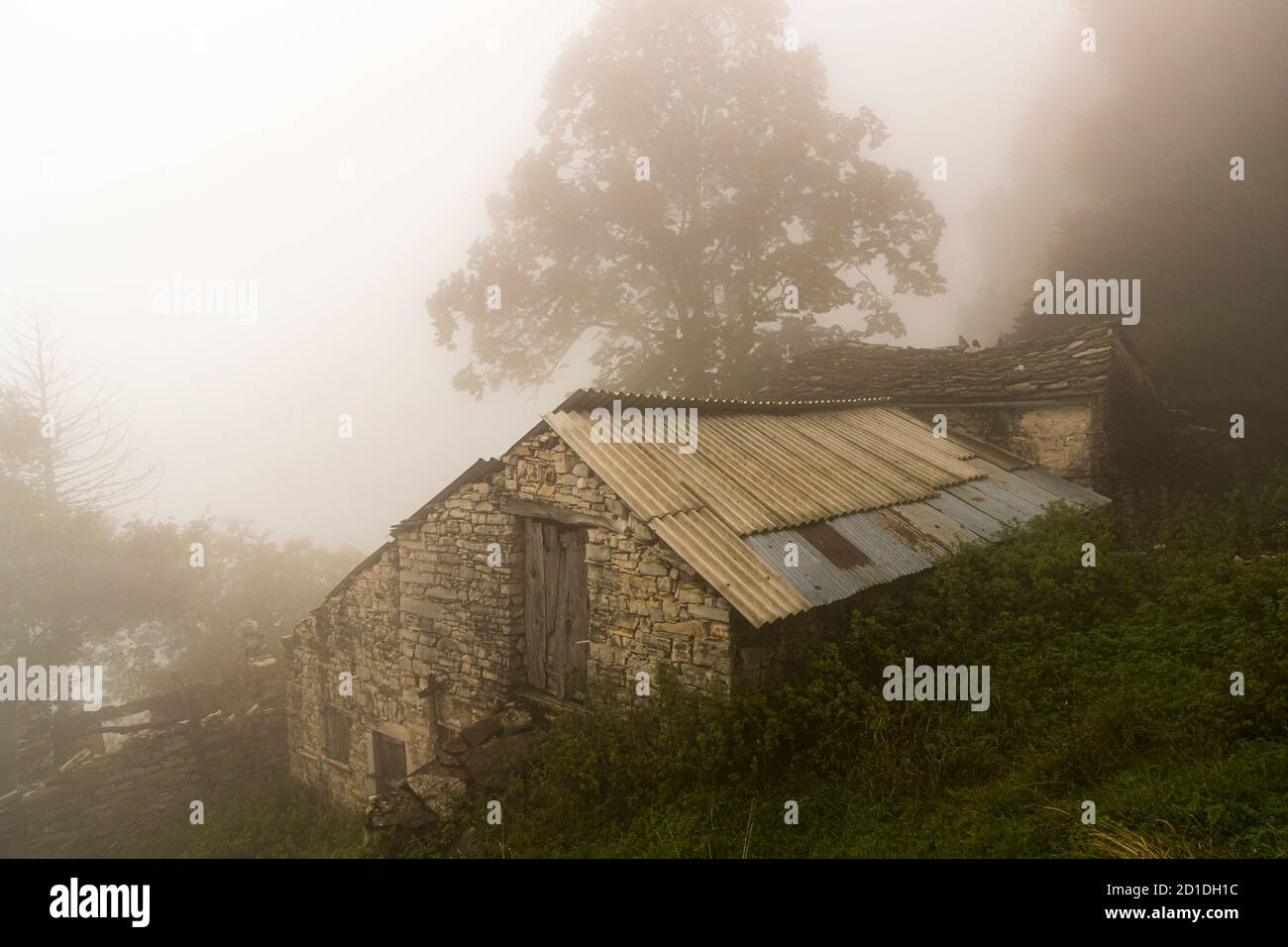 Nebelstimmung auf der Alp im Tessin Muggiotal, Breggia, Schweiz Stockfoto