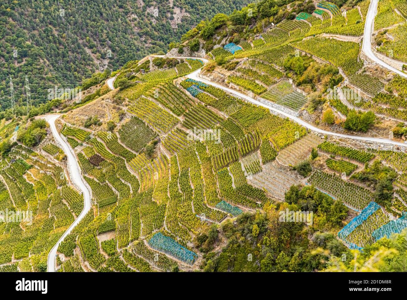 Visperterminens höchster Weinberg Europas Visp, Schweiz Stockfoto