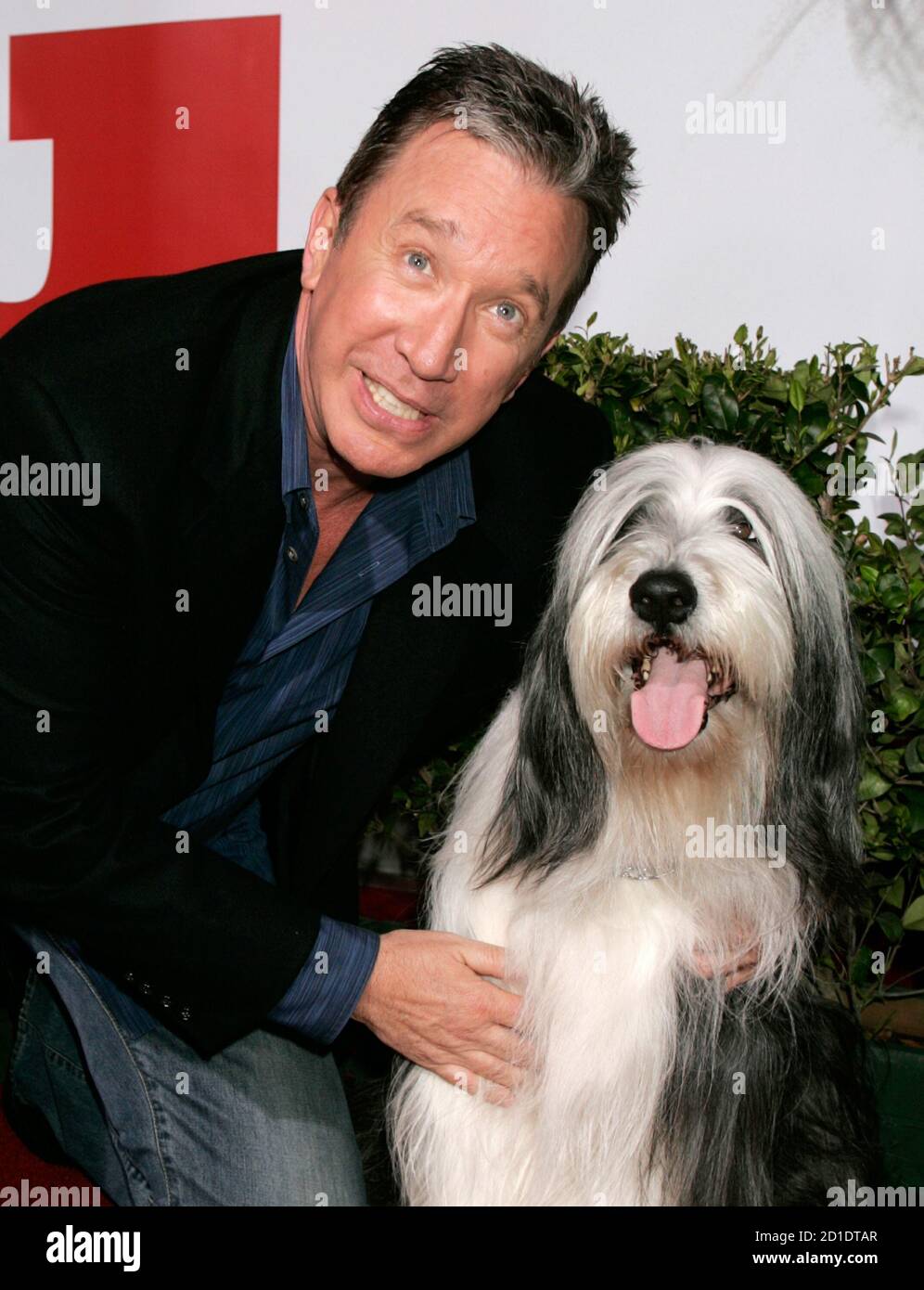 How Did Shaggy Dog Die