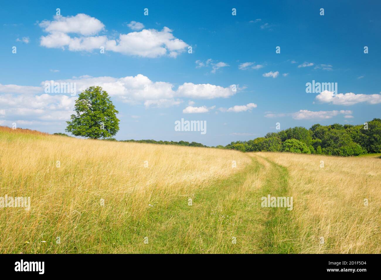 Slowakei - Die Landschaft des Plesivecka planina im Nationalpark Slovensky Kras. Stockfoto