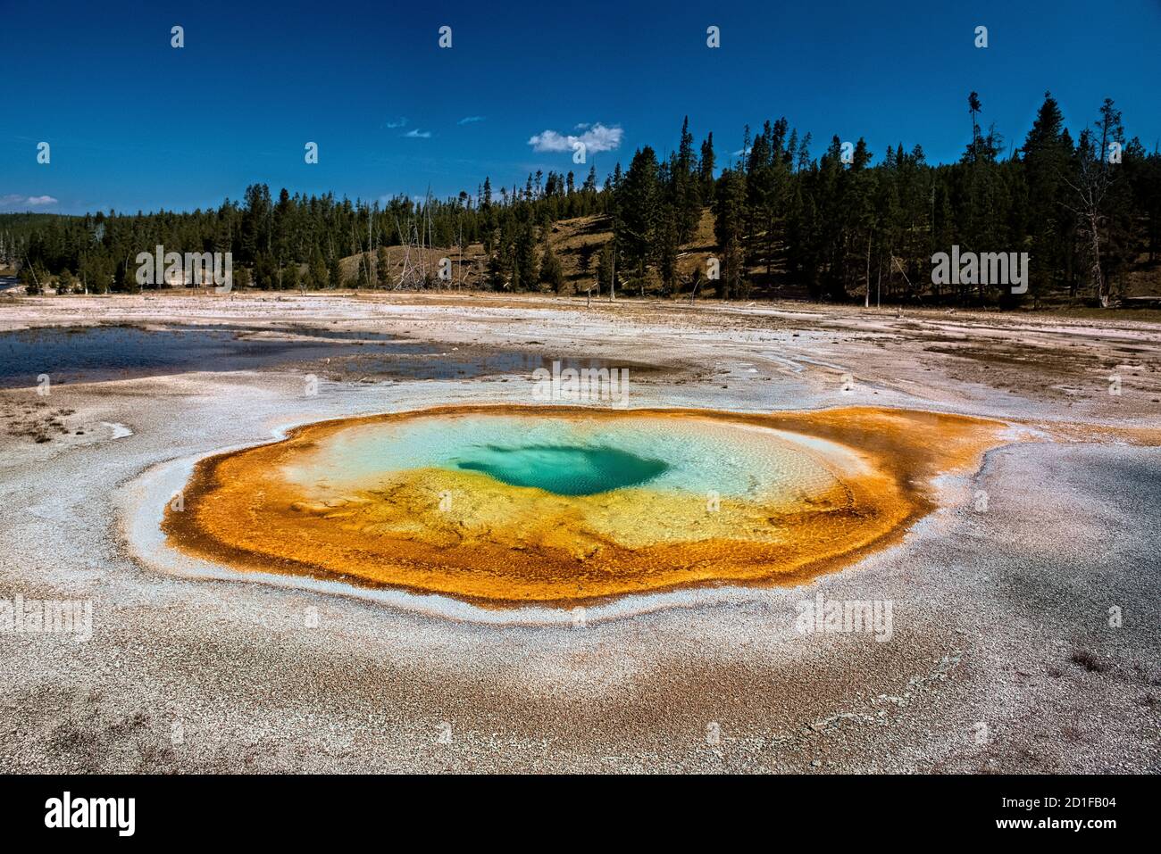 Chromatische Quelle, Upper Geyser Basin, Yellowstone National Park, Wyoming, USA Stockfoto