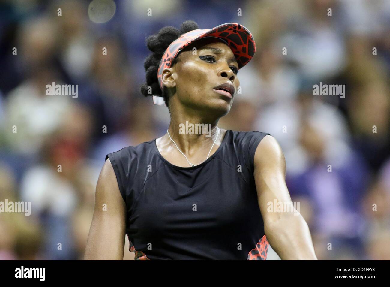 Venus Williams, 2017 Foto von John Barrett/PHOTOlink /MediaPunch Stockfoto