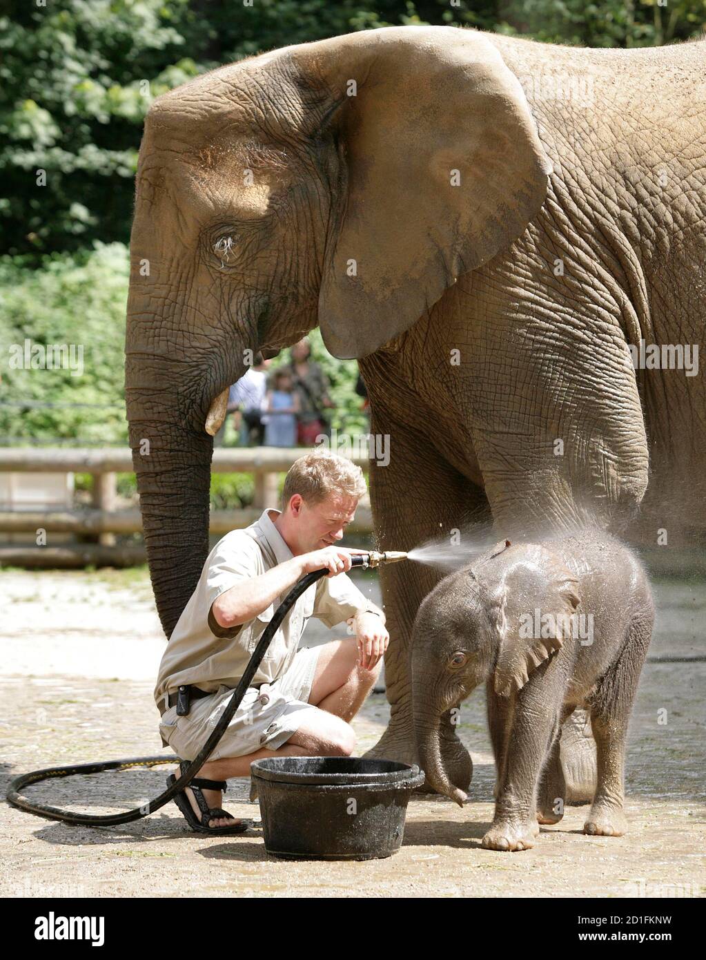 Tierpfleger Filipe Von Gilsa Spruht Wasser In Elefantenbaby Tika Im Zoo In Wuppertal 16 Juli 2007 Der Kleine Elefant Wurde Am 13 Juli Geboren Und Ist Der Neue Star Des Zoos Reuters Kirsten