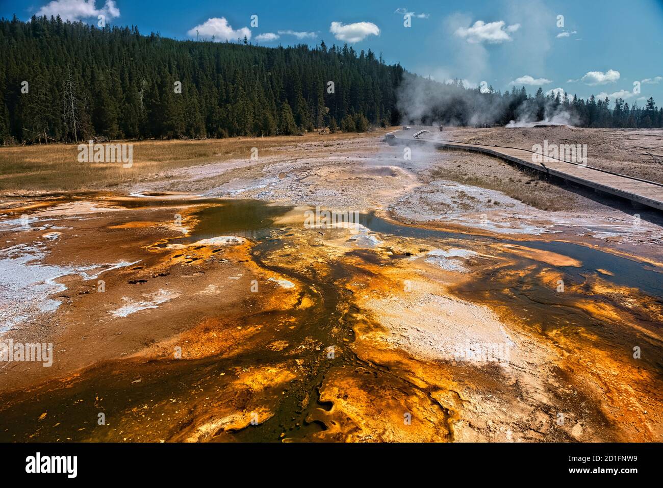 Bakterienmatte, Upper Geyser Basin, Yellowstone National Park, Wyoming, USA Stockfoto
