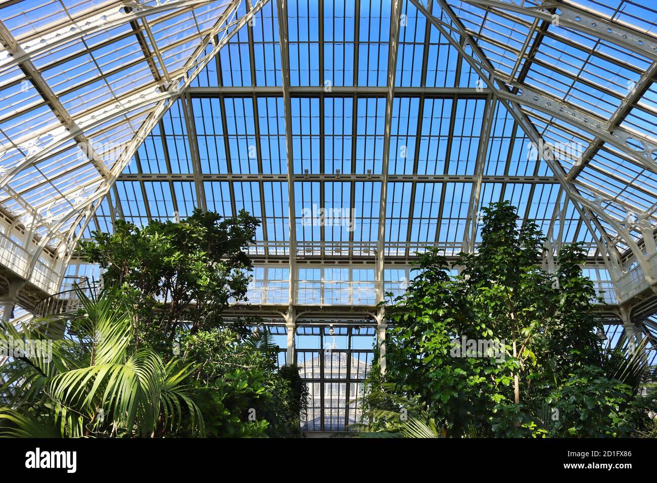 Gemäßigte Haus Interieur in Kew Gardens , London , Großbritannien Stockfoto