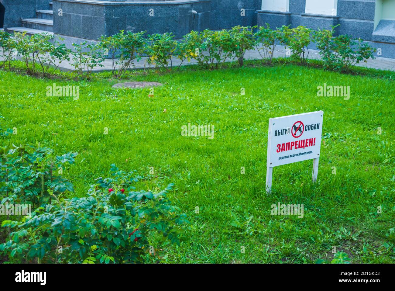 Ein Schild auf dem Rasen mit dem Bild eines Hundes. Stockfoto