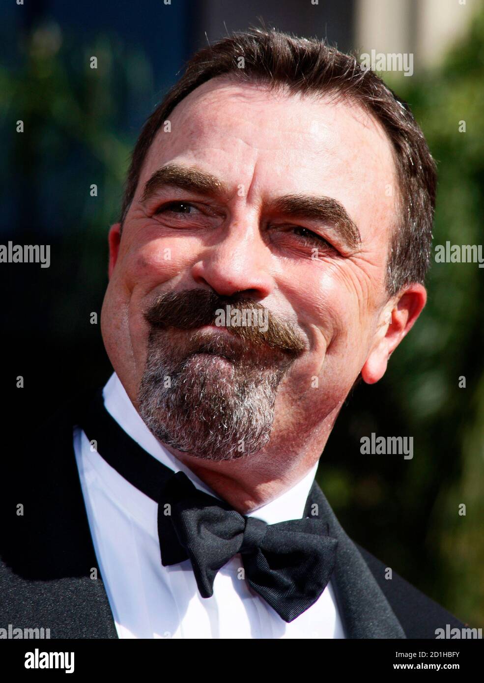 Jesse stein Fotos und Bildmaterial in hoher Auflösung Alamy