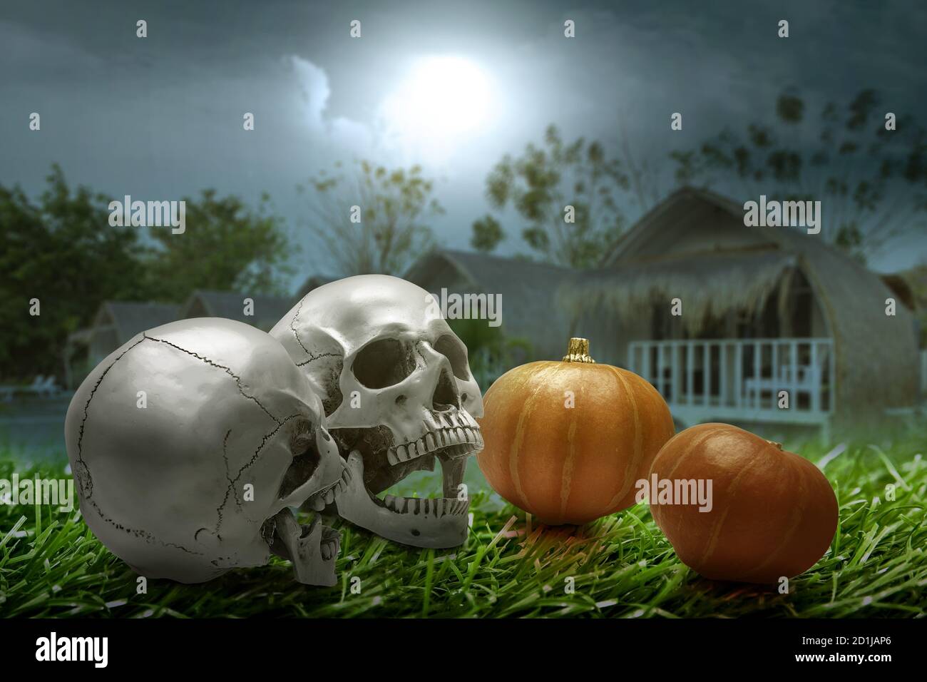Menschlicher Schädel und Kürbis auf dem Gras mit der Nacht Szenenhintergrund Stockfoto