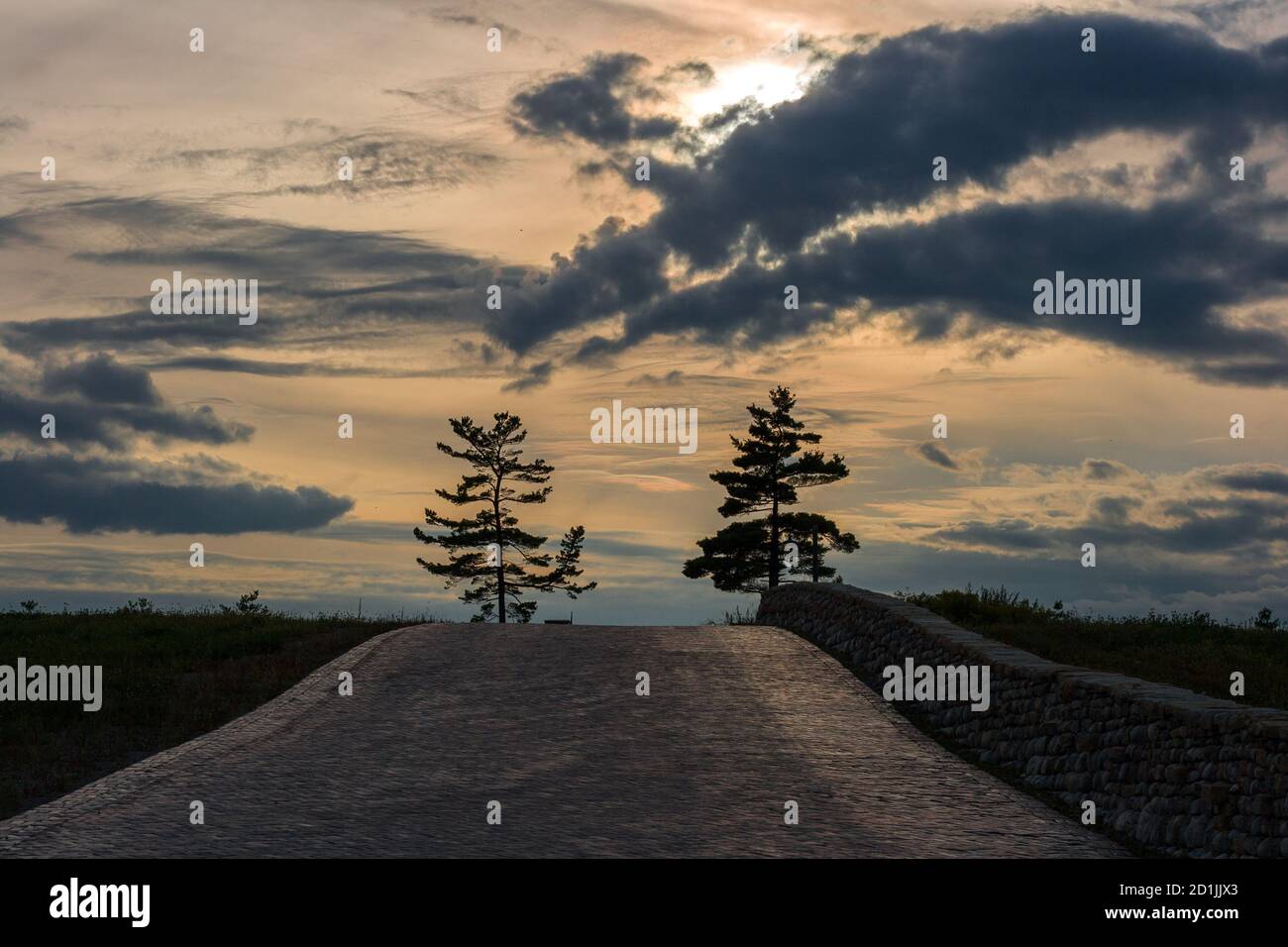 Rosafarbener Sonnenuntergang. Goldene Stunde. wolkiger Himmel und alte Backsteinstraße. Zwei Bäume am Horizont. Stockfoto