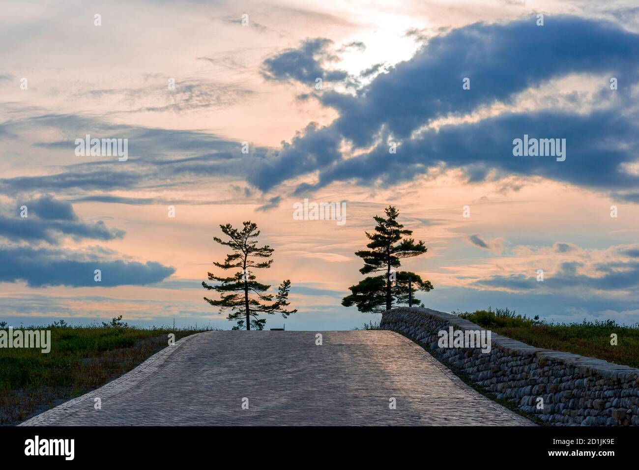 Rosafarbener Sonnenuntergang. Goldene Stunde. wolkiger Himmel und alte Backsteinstraße. Zwei Bäume am Horizont. Stockfoto