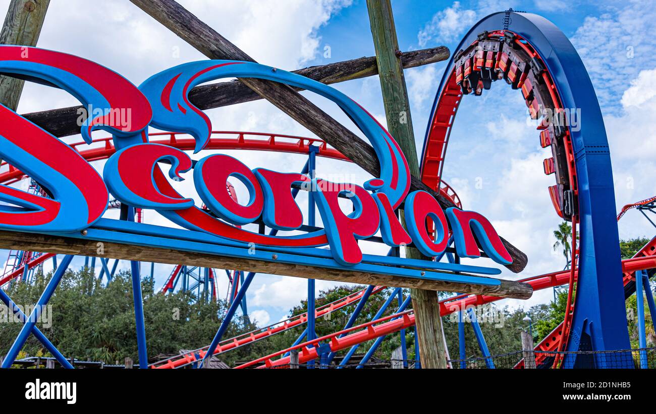 Die Scorpion-Achterbahn mit 360-Grad-Schleife in Busch Gardens Tampa Bay in Tampa, Florida. (USA) Stockfoto