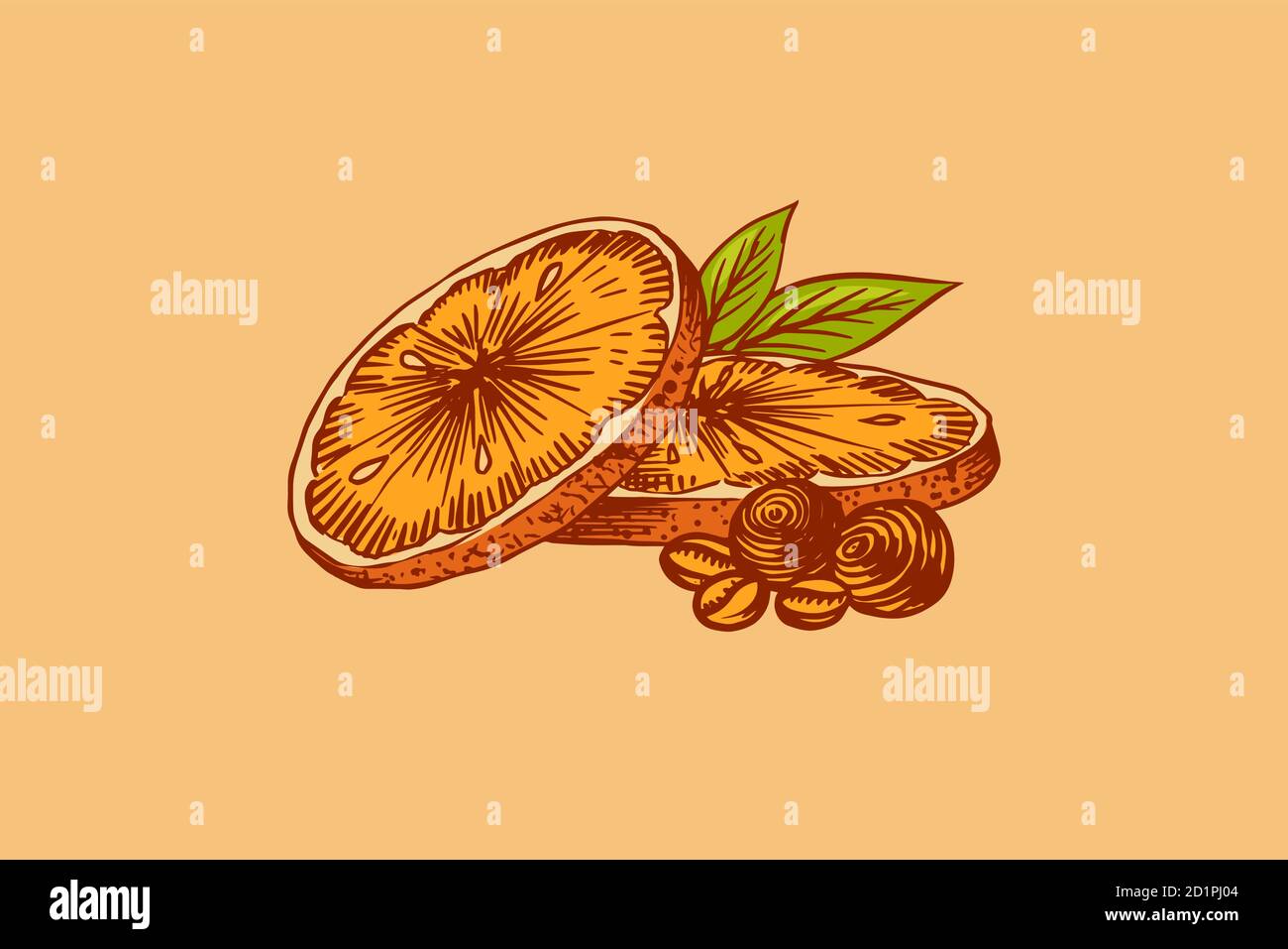 Orangefarbene Scheiben. Sommer Obst . Handgezeichnete Vintage-Skizze mit Gravur. Holzschnitt. Stock Vektor
