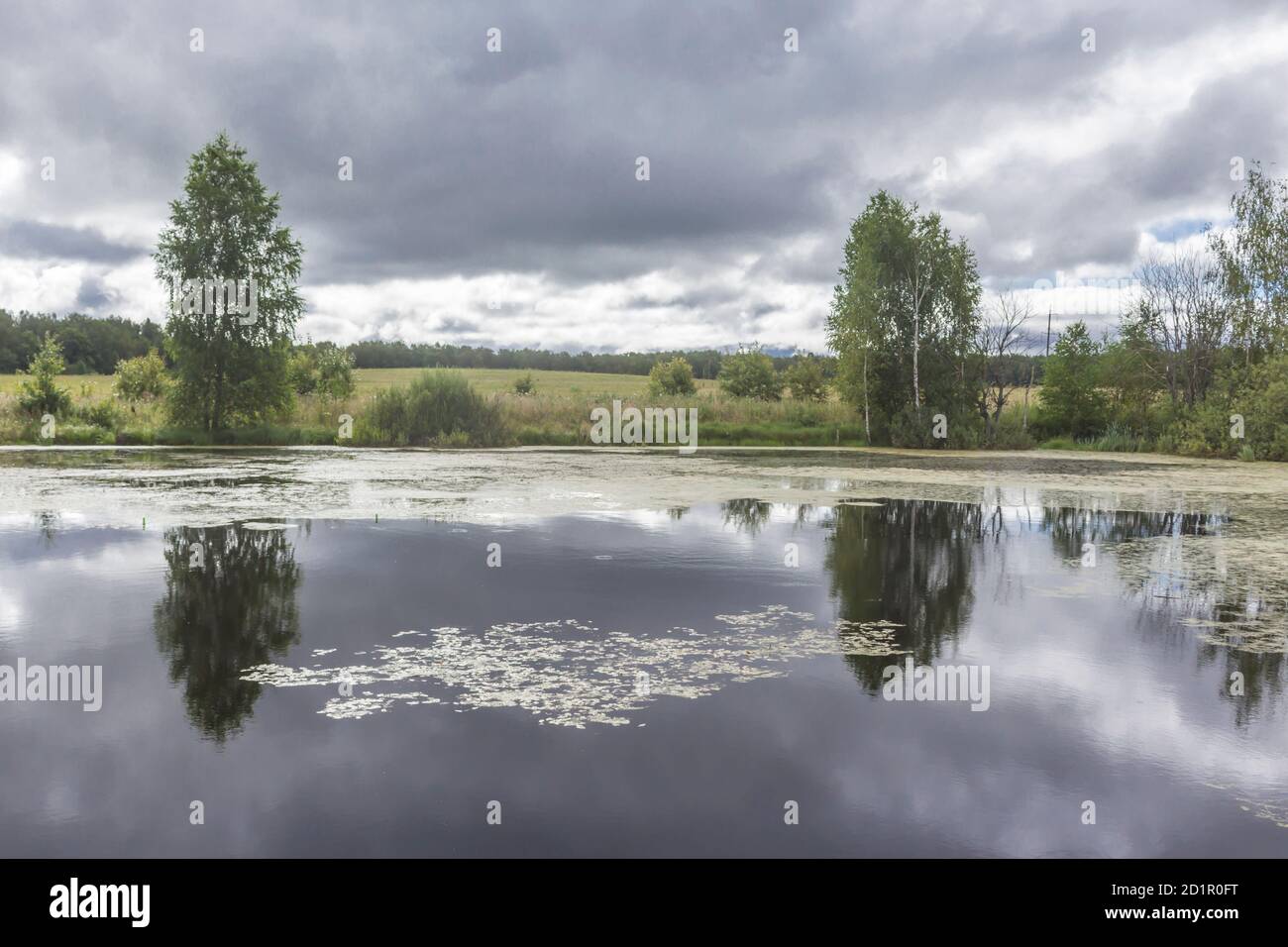 Ein Teich zwischen den Feldern im Vordergrund. Bäume spiegeln sich im Wasser. Gutes Angeln. Ländliche Landschaft in der Mitte des Sommers. Stockfoto