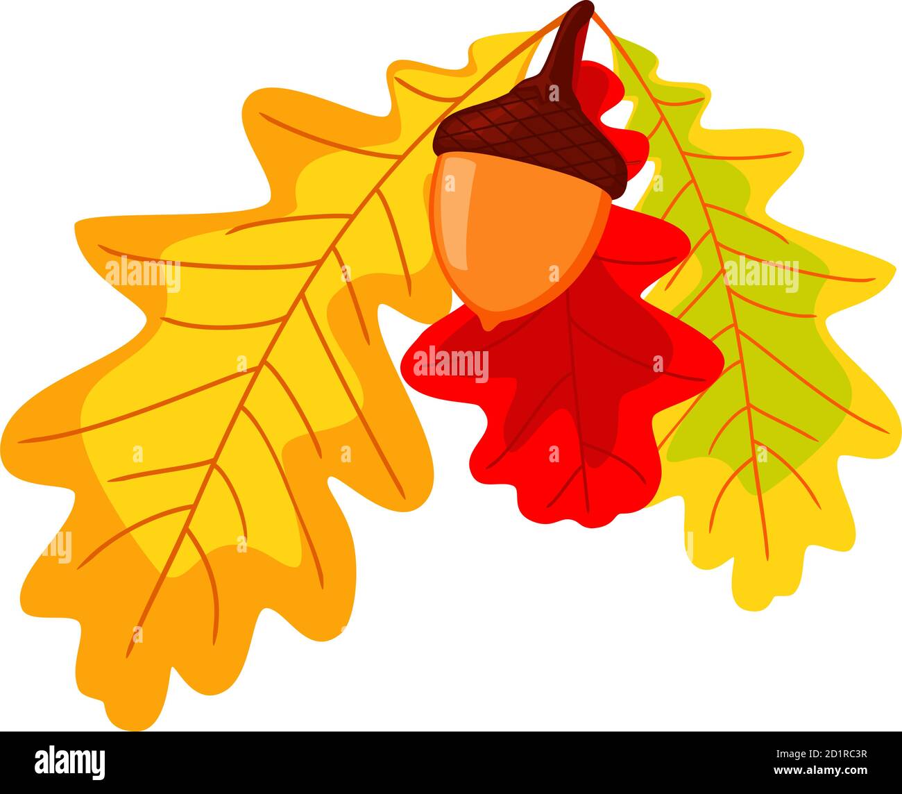 Bunte Herbsteiche Blätter und Eichel Stock Vektor