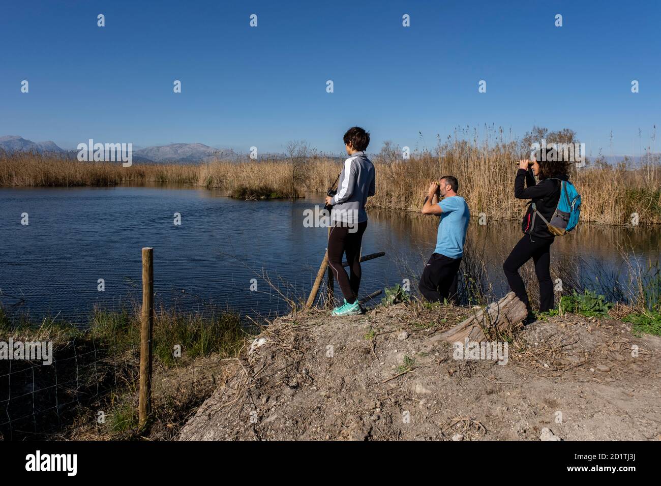 Amarador, albufera de mallorca, Mallorca, Balearen, Spanien Stockfoto