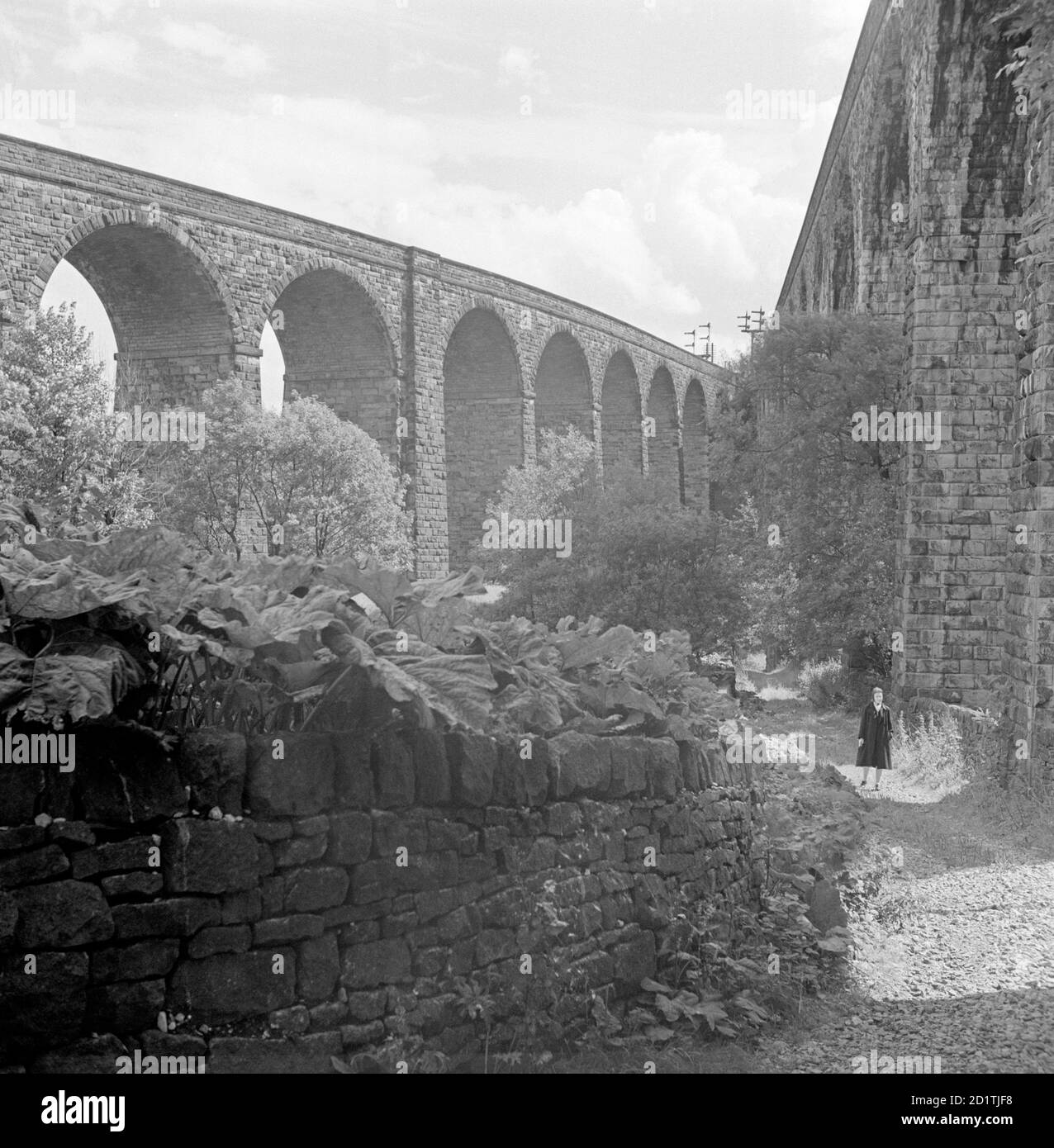 EISENBAHNVIADUKTE, Chapel Milton, Chapel-en-le-Frith, Derbyshire. Blick auf die Zwillingsbahnviadukte in Chapel Milton. Fotografiert von Eric de Mare im Jahr 1954. Stockfoto