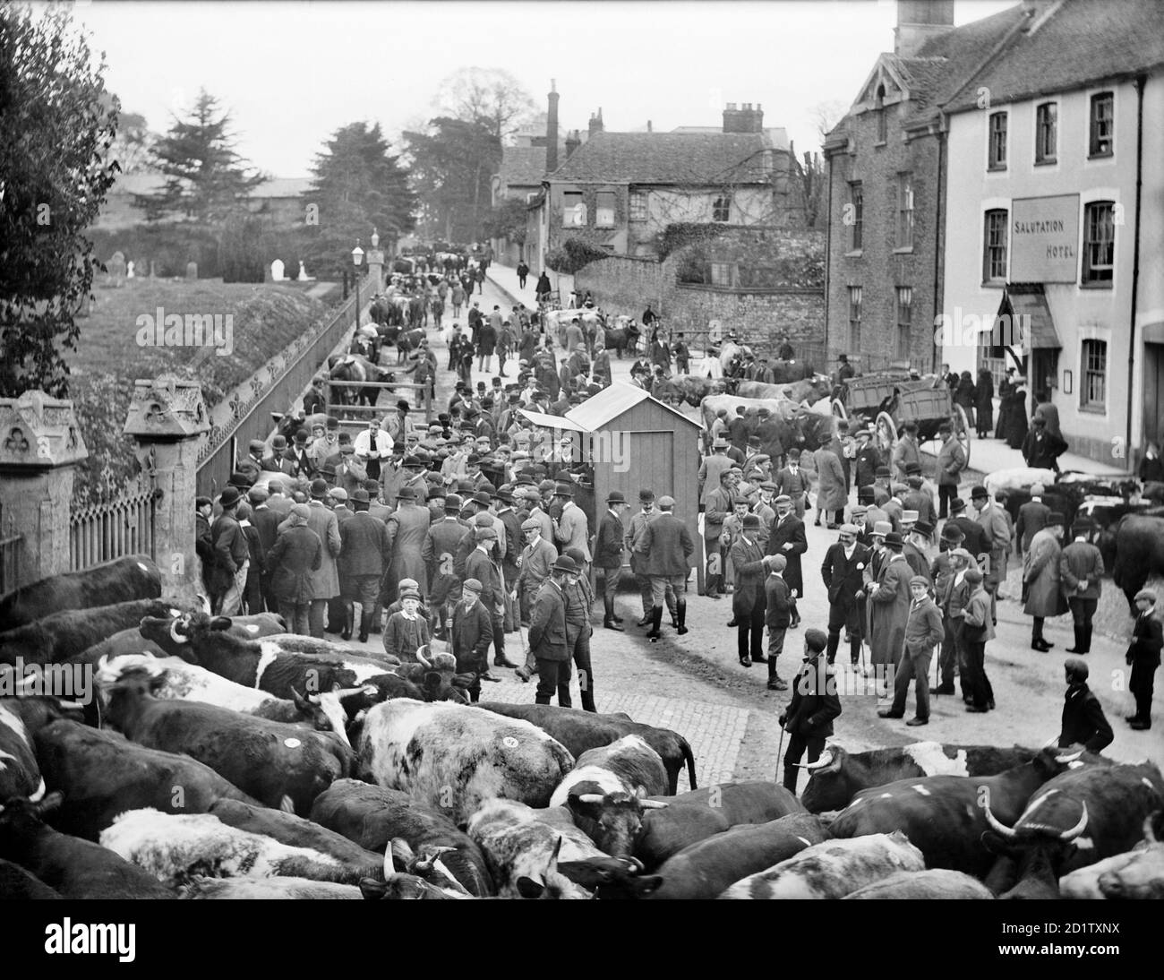 MARKET PLACE, Faringdon, Oxfordshire. Der Viehmarkt ist im Gange, mit der Salutation Inn auf der einen Seite und dem Kirchhof auf der anderen. Faringdon erhielt 1218 einen Markt. Fotografiert von Henry Taunt im Jahr 1904. Stockfoto