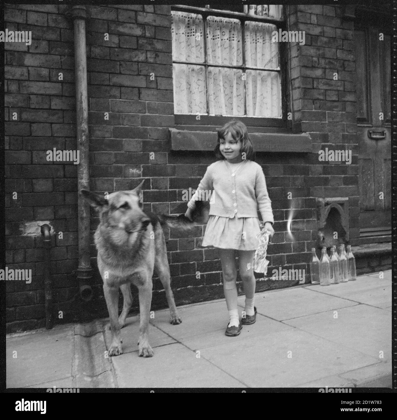 Ein junges Mädchen und ein elsässischer Hund stehen auf dem Bürgersteig vor einem Reihenhaus, Middleport, Burslem, Stoke-on-Trent, Staffordshire, Großbritannien. Stockfoto