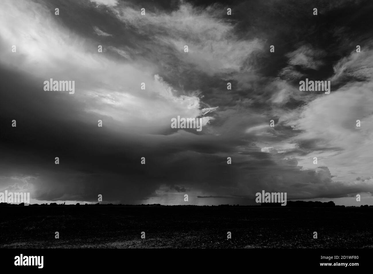 Cumulonimbus Sturmwolken über Fenland Fields, nahe Wisbech Stadt, Cambridgeshire, England, Großbritannien Stockfoto