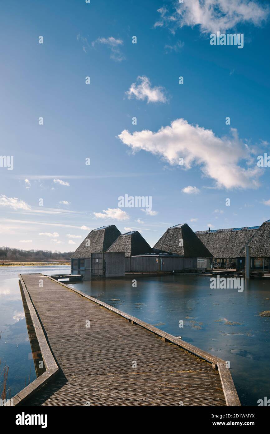 Außenansicht des Besucherzentrums Brockholes, Samlesbury, Lancashire, entworfen von Adam Khan Architects, fertiggestellt 2012. Stockfoto