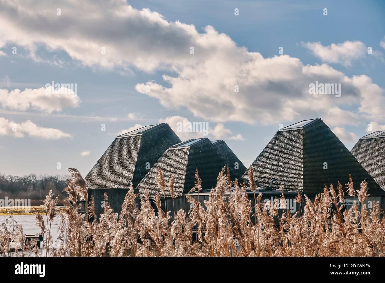 Außenansicht des Besucherzentrums Brockholes, Samlesbury, Lancashire, entworfen von Adam Khan Architects, fertiggestellt 2012. Stockfoto