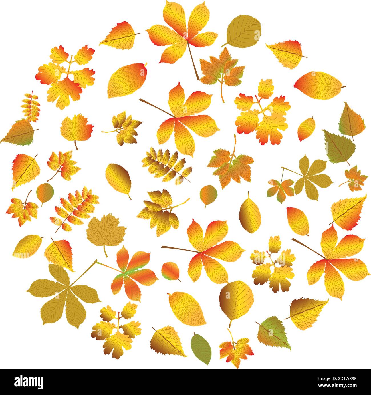 Herbst-Set von Ikonen. Die Blätter fallen. Eine Sammlung von Vektorsymbolen der Natur isoliert auf einem weißen Hintergrund. Stock Vektor