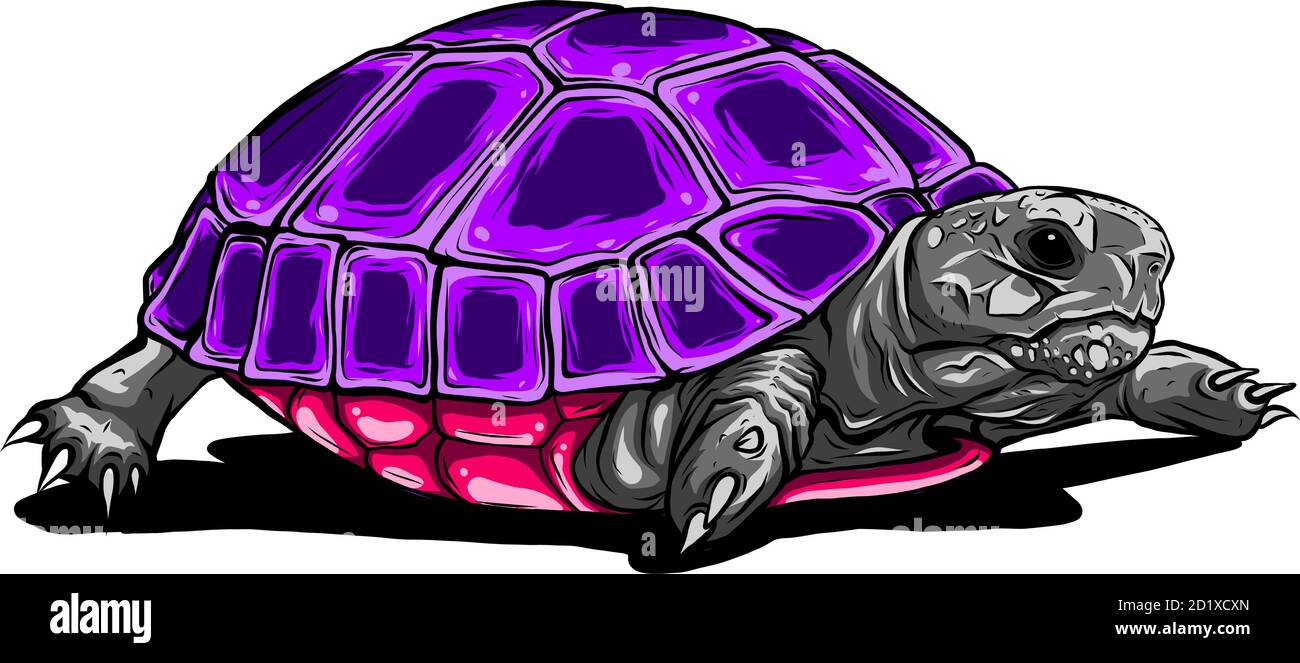 Schildkröte Vektor-Symbol.Cartoon Vektor-Symbol auf weißem Hintergrund Schildkröte isoliert. Stock Vektor