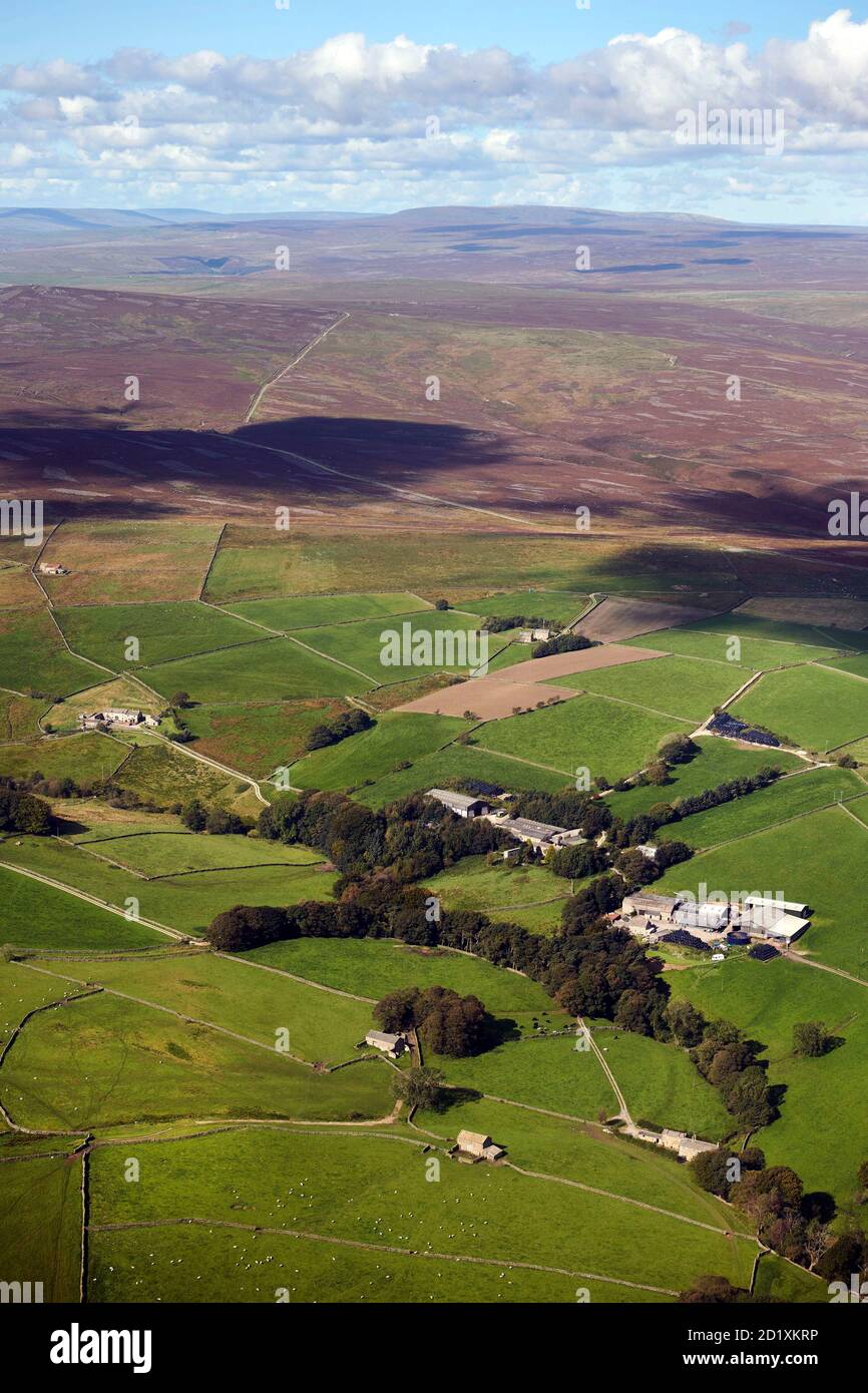 Eine Luftaufnahme von abgelegenen Hochlandfarmen in den Yorkshire Dales, North Yorkshire, Nordengland, Großbritannien Stockfoto