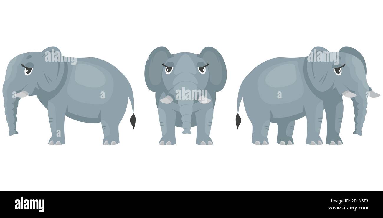 Elefantenweibchen in verschiedenen Posen. Afrikanisches Tier im Cartoon-Stil. Stock Vektor