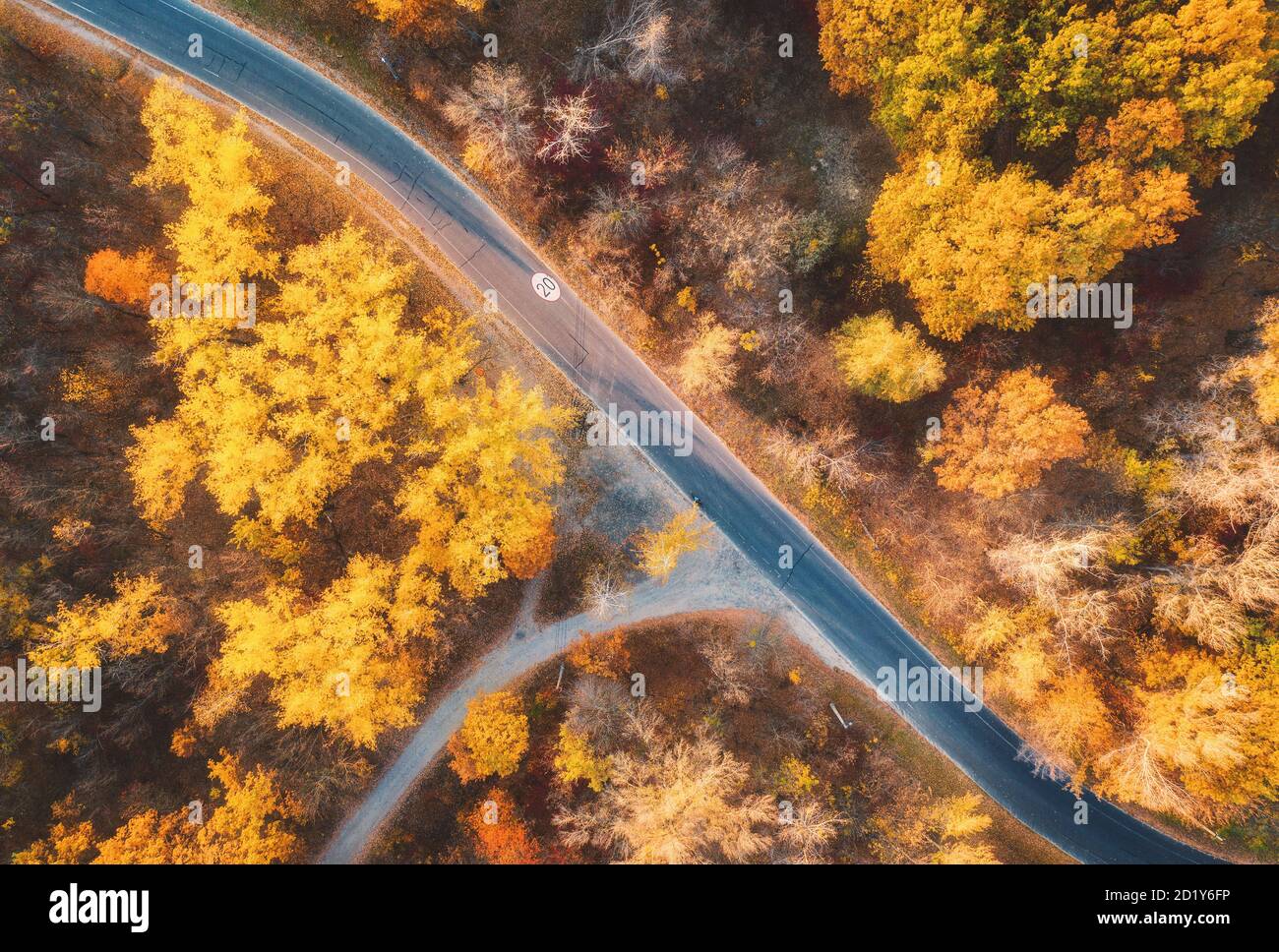 Luftaufnahme der Straße im schönen Herbst Wald bei Sonnenuntergang Stockfoto