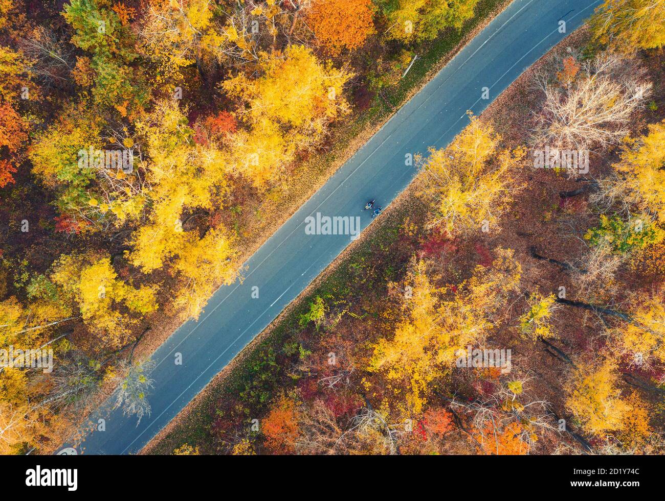 Luftaufnahme der Straße im schönen Herbst Wald bei Sonnenuntergang. Stockfoto