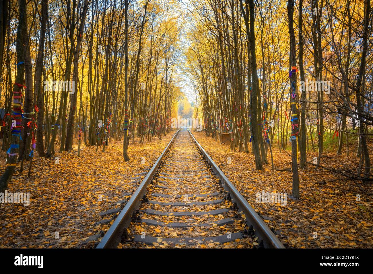 Schöne Eisenbahn im Herbstwald bei Sonnenuntergang. Industrie Stockfoto