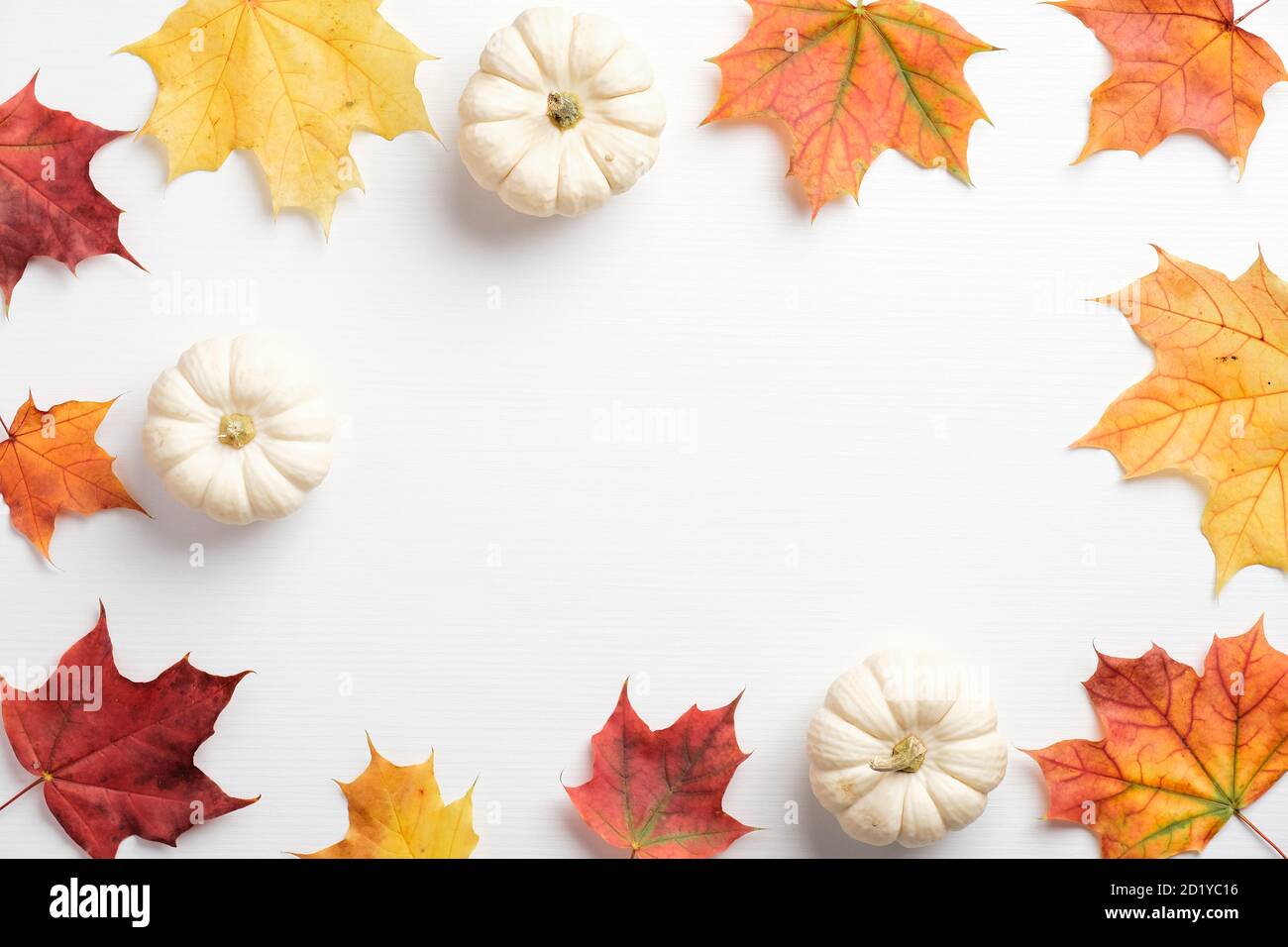 Herbstkomposition. Getrocknete Blätter und Kürbisse auf weißem Hintergrund. Herbstkonzept. Herbsthintergrund. Flach liegend, Draufsicht, Kopierbereich Stockfoto