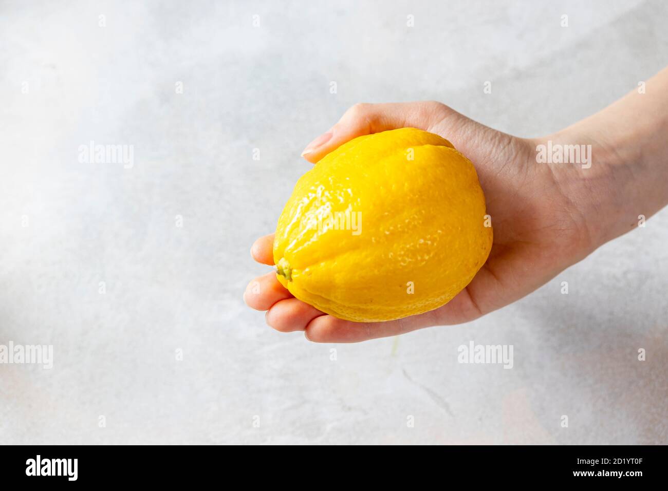 Zitrone in den Händen der Kinder auf grauem Hintergrund. Ungewöhnliche Form von Gemüse und Obst. Gelbe Zitrone ist gut für die Gesundheit. Stockfoto