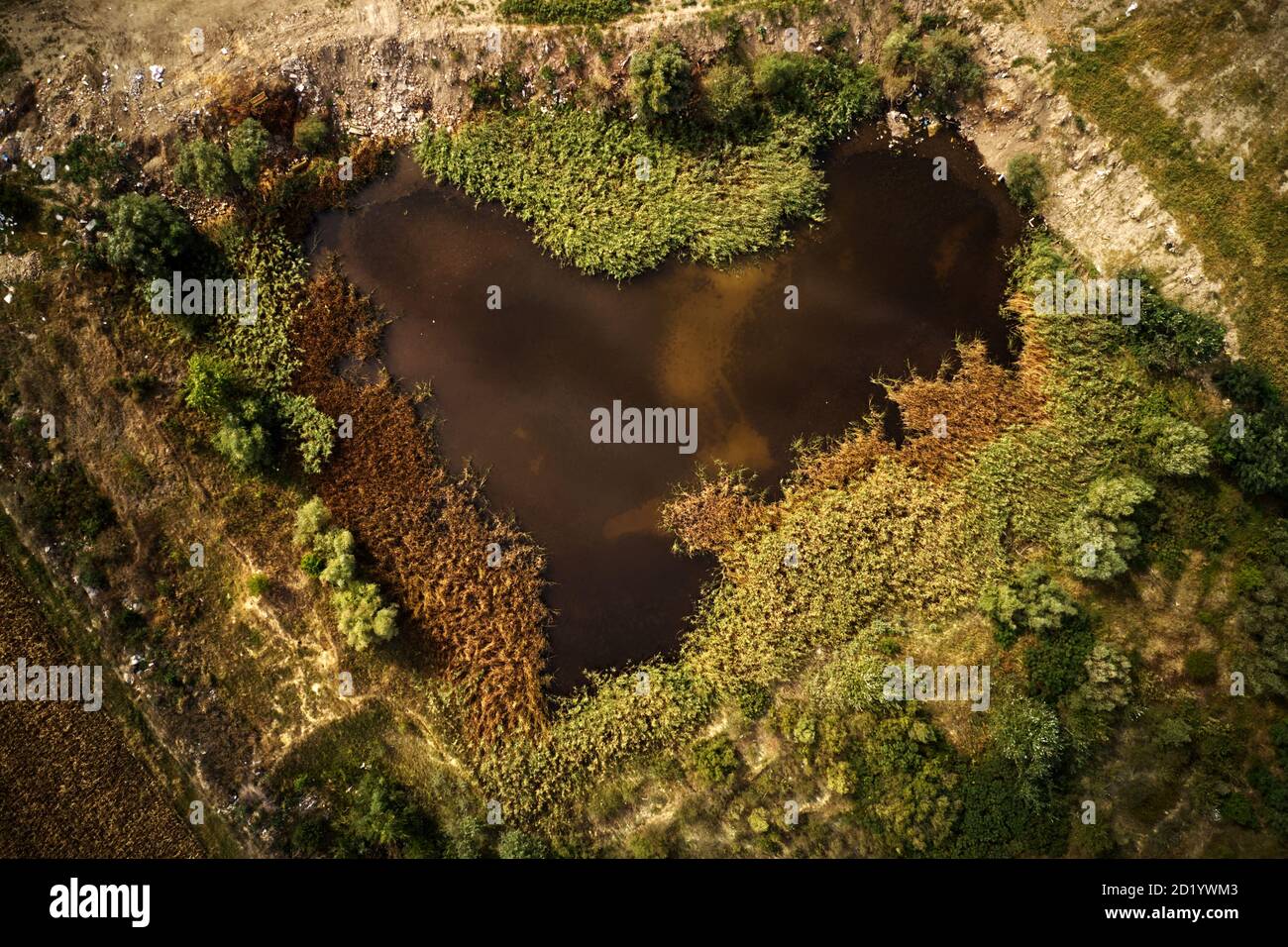 Herzförmiger Teich, Luftaufnahme von Drohne pov Stockfoto