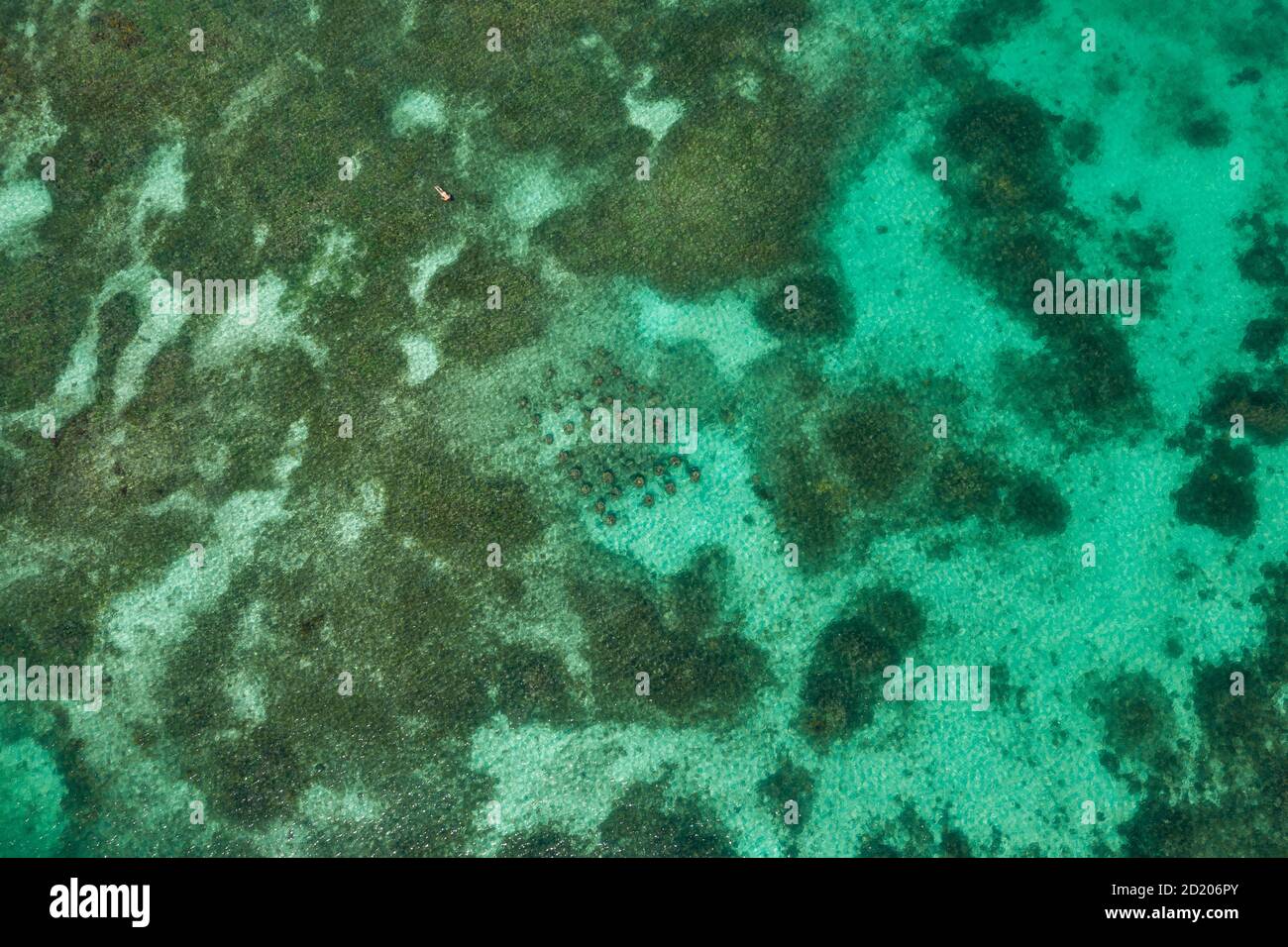 Blick auf das Great Barrier Reef Blue Sea. Wunderschönes türkisfarbenes Wasser mit Korallenriffmustern in der Meeresansicht. Stockfoto