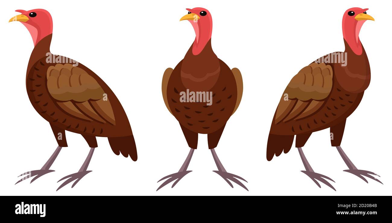 Türkei in verschiedenen Posen. Bauernhof Tier im Cartoon-Stil. Stock Vektor