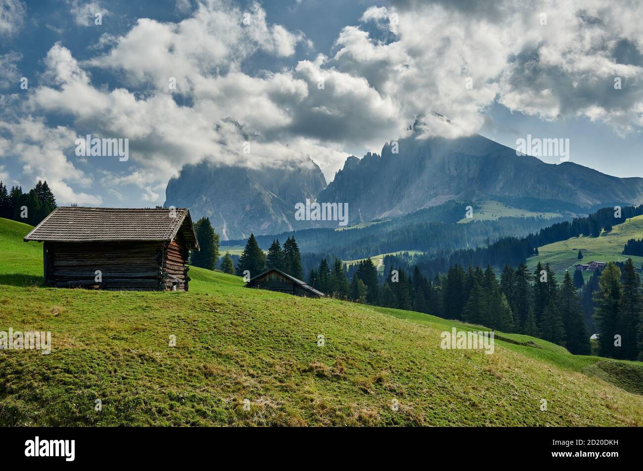 Seiser Alm mit Blick auf Plattkofel und Langkofel, Südtirol, Italien Stockfoto
