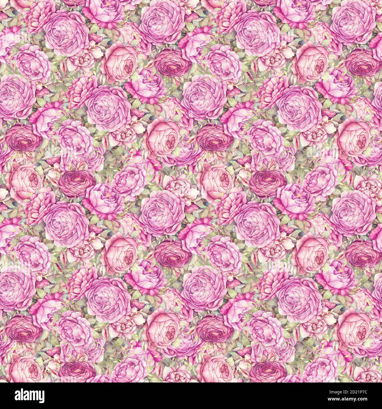 Nahtloses Blumenmuster. Aquarell Pfingstrosen Rosen Blätter. Rosa Blumen, Knospen, Blätter, Zweige. Modischer Hintergrund. Grün Stockfoto