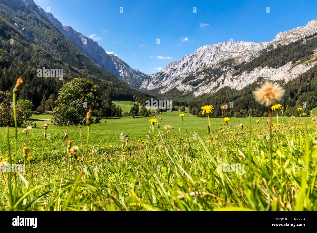 Hochschwab mit Aflenzer Staritzen, von Seewiesen aus gesehen, Steiermark, Österreich Stockfoto