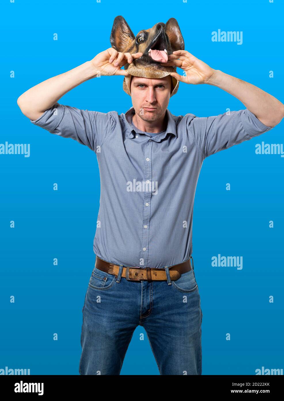 Kaukasischer Mann, der Hundemaske mit schwül-ndem Gesichtsausdruck auszieht. Mittlere Aufnahme. Isolierter blauer Hintergrund. Studioaufnahme. Stockfoto