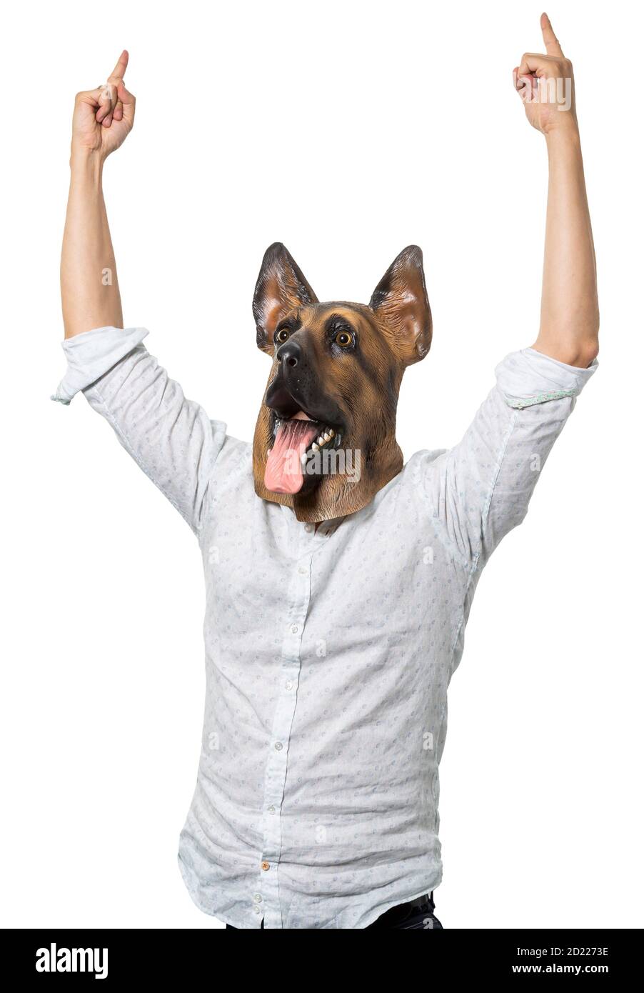 Mann trägt Hundemaske mit erhobenen Armen zeigt nach oben in der Feier. Isolierter weißer Hintergrund. Mittlere Aufnahme. Stockfoto