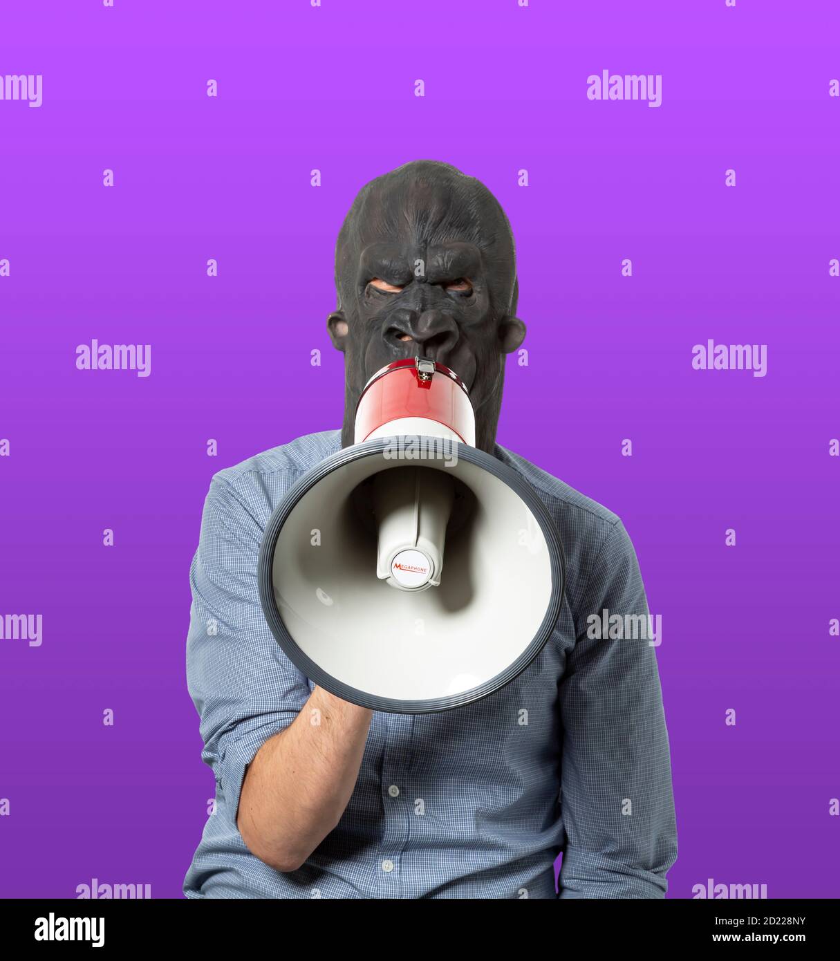Mann trägt Gorilla Maske spricht auf Megaphon. Frontansicht. Isolierter Ausschnitt auf violettem Hintergrund. Mittlere Aufnahme. Stockfoto