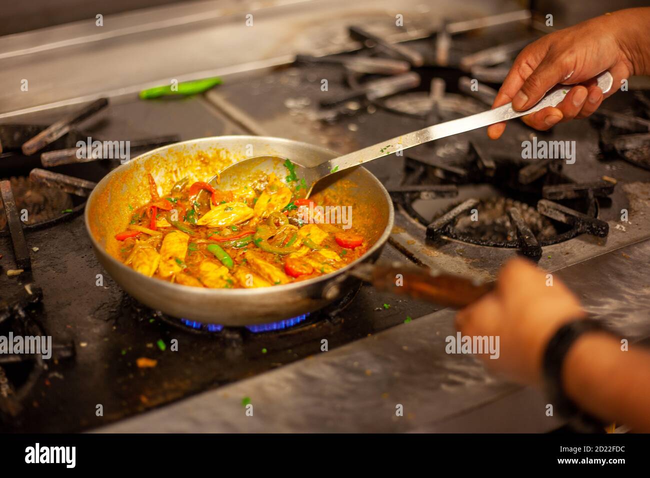 Lebensmittelzubereitung indische und weltweite Lebensmittel Stockfoto