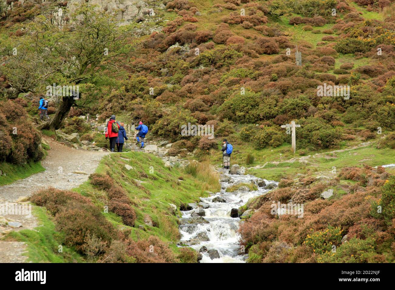 Spaziergänger in der Carding Mill Valley, Church Stretton, Shropshire, England, Großbritannien. Stockfoto