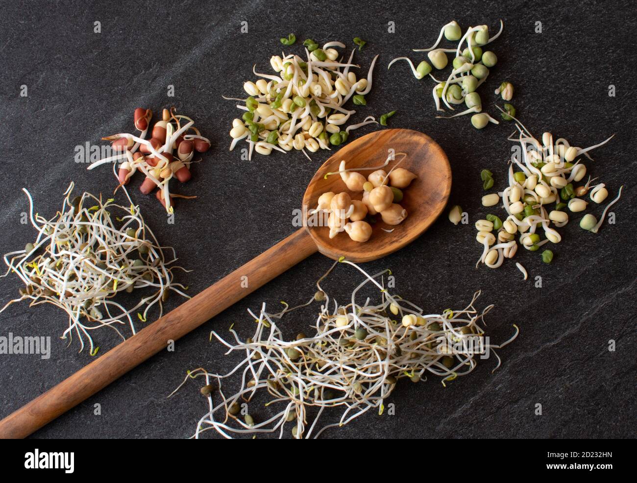 Frische und rohe Sprossen Stockfoto